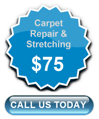 Carpet Cleaning & Repair in Las Vegas, NV